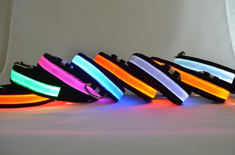 LED Light Up Dog Collar - Safety Night Walking Pet Collar Online